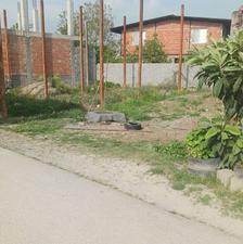 فروش زمین مسکونی 123 متر در هولا - ذغالچال