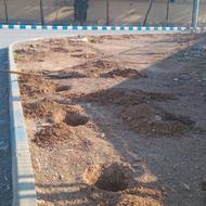 حرص.درخت کاری.کاشتن گل
