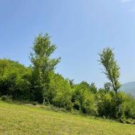 فروش زمینی زیبا مسکونی500متردرکلیجان‌رستاق‌بام روستای‌گلورد