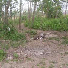 فروش ویلا 2800 متر در سده