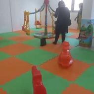 چرخ فلک زرافه