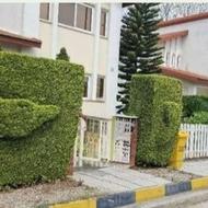 کاشت و نگهداری فضای سبز سماکوش