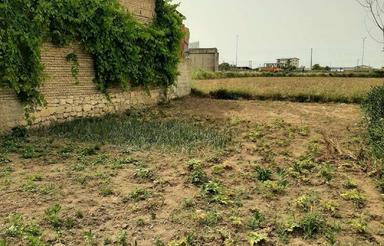زمین مسکونی در چاله پل