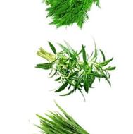 سبزی پاک کردن ومرغ پاک کردن