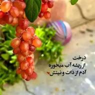 نظافت منزل