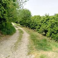 3000مترباغ مرکبات پر محصول مناسب احداث استخر ماهی