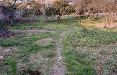 فروش زمین باغی ومسکونی و کشاورزی