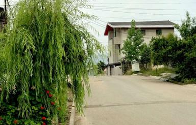 زمین مسکونی 150 متر در شکتا