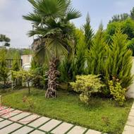 فروش زمین مسکونی 140 متر در علمده شرقی