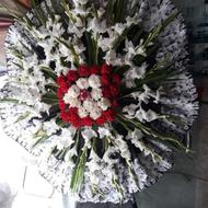 گلسرای دانیال