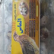 فروش تخم خوراکی و نطفه دار گوشت و خود بلدرچین تخم گذار