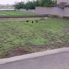 فروش زمین مسکونی 500 متر در جاده بهنمیر