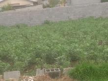 فروش زمین مسکونی 500متری سه بر و نبش کمربندی در شیپور