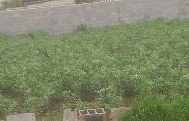 فروش زمین مسکونی 500 متر در نجارکلا قدیم