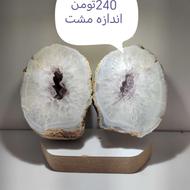 کلکسیونی شجر و عقیق