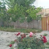 اسبار باغ انگوریا درخت