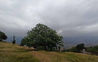 زمین مسکونی با ویوی ابدی