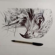 نقاشی عقاب کارشده با خودکار
