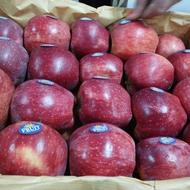 نیروی کار برای سروت و باغ