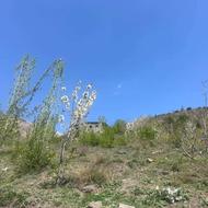 فروش زمین مسکونی 160 متر در نمارستاق ییلاقی کوهستانی