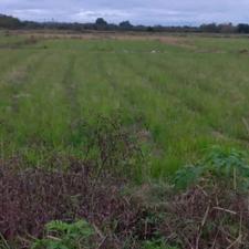 زمین کشاورزی 2304 متر در سوخته کوه