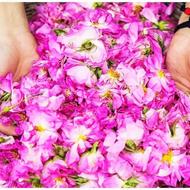 تور شاد و بیاد ماندنی کاشان و کویر مرنجاب