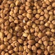 نخود برای کاشت تروتمیز