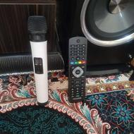 اسپیکر ایستاده میکرولب