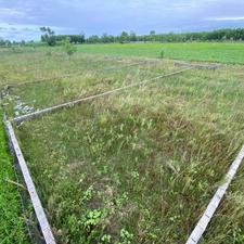 زمین قیمت مناسب 220 متر با مهر و تاییدیه