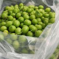 الوچه(گوجه سبز)