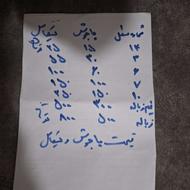 فروش پاجوش سیکاس