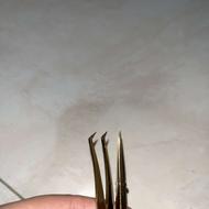 اکستنشن و کاشت مژه لیفت مژه