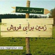فروش زمین کشاورزی 1500 متر در شاه زید