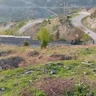فروش زمین مسکونی 1200 متر در شیر دره سوادکوه
