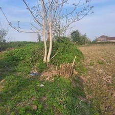 4000 متر زمین مزروعی اطراف لولمان رشت