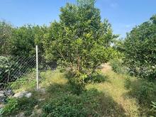 فروش باغچه 450 متر در مرکز شهر در شیپور