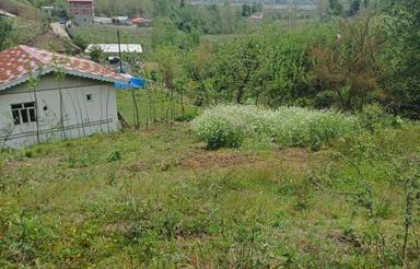 زمین کوه پایه ای