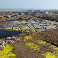 قطعات ساحلی با ویوی دریا با موقعیت مناسب