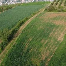 550متر زمین مناسب خونه باغ