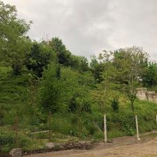 1650 متر زمین بی نظیر در زمیدان لاهیجان