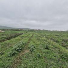 فروش زمین مسکونی 212 متر در آزادشهر