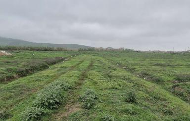 فروش زمین مسکونی 212 متر در آزادشهر