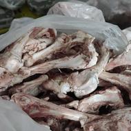 قلم گوساله و گوسفندی و استخوان گوسفندی
