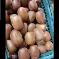 فروش کیوی هایوارد مرغوب در سردخانه