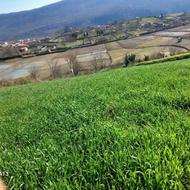 فروش زمین کشاورزی 7000 متر مربع روستای اقمشهد