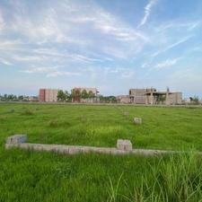 355 متر زمین دور محصور