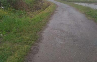 فروش زمین باغی 2000 متر در لسبومحله