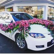 همکار ماهر درگلفروشی