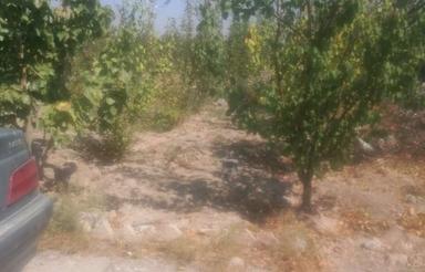 300متری باغچه در وهن اباد