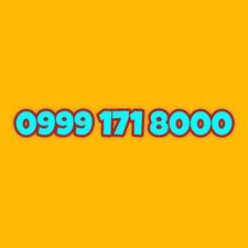 0999-171-8000